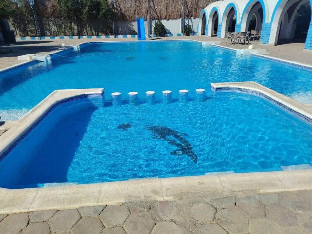 فلة النورين