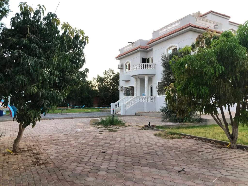 فلة النورين