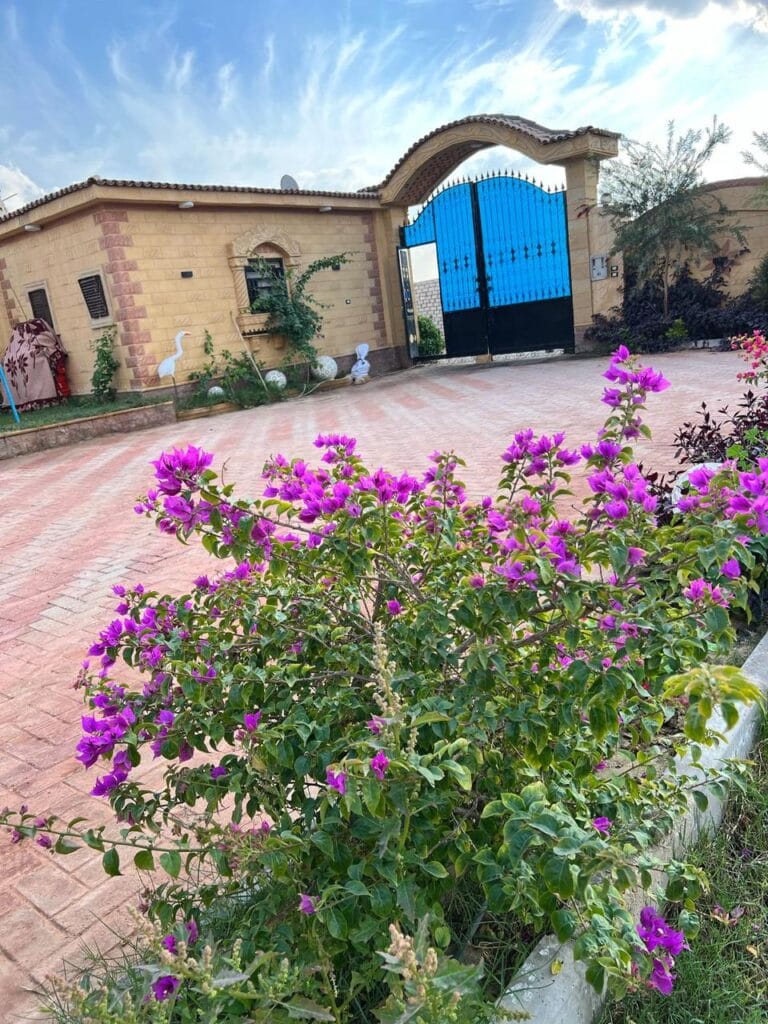 فيلا العربي